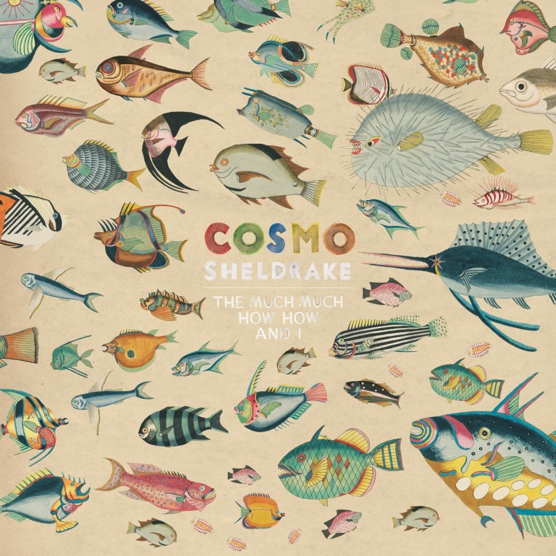 cosmo_sheldrake-come_along-1